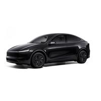 Tesla Model Y Juniper Diamond Black Rötuş Boyası