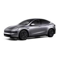 Tesla Model Y Juniper Quicksilver Rötuş Boyası